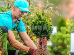 Услуги садовника