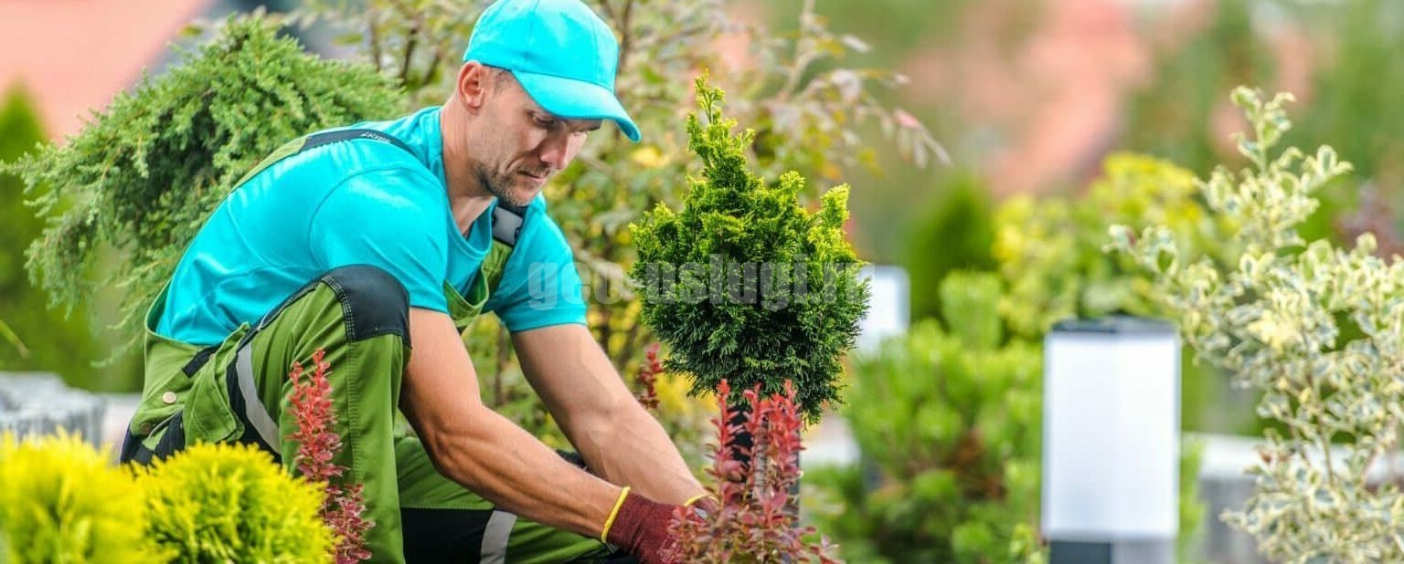 Услуги садовника