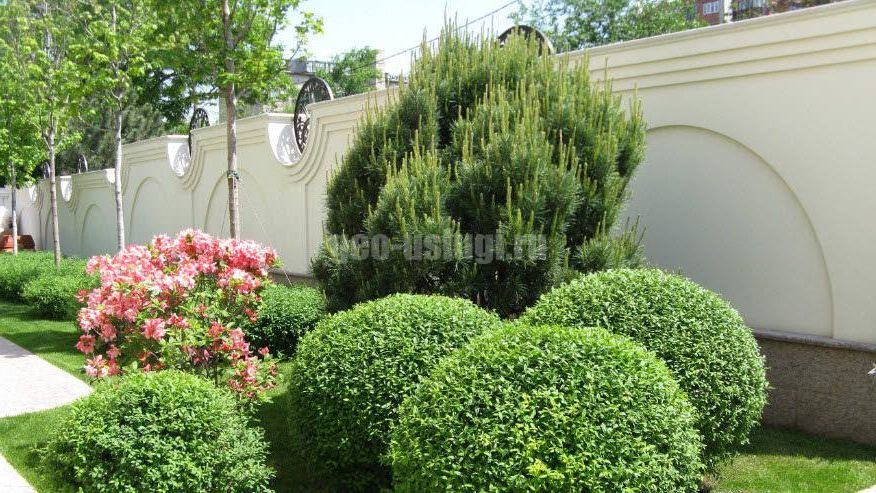 Ландшафтный дизайн дачного участка