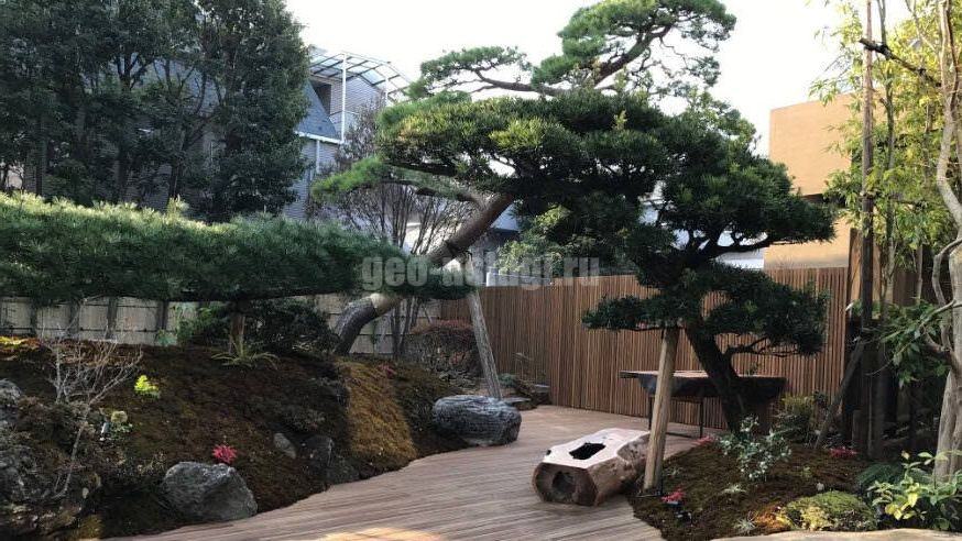 Ландшафтный дизайн дачного участка