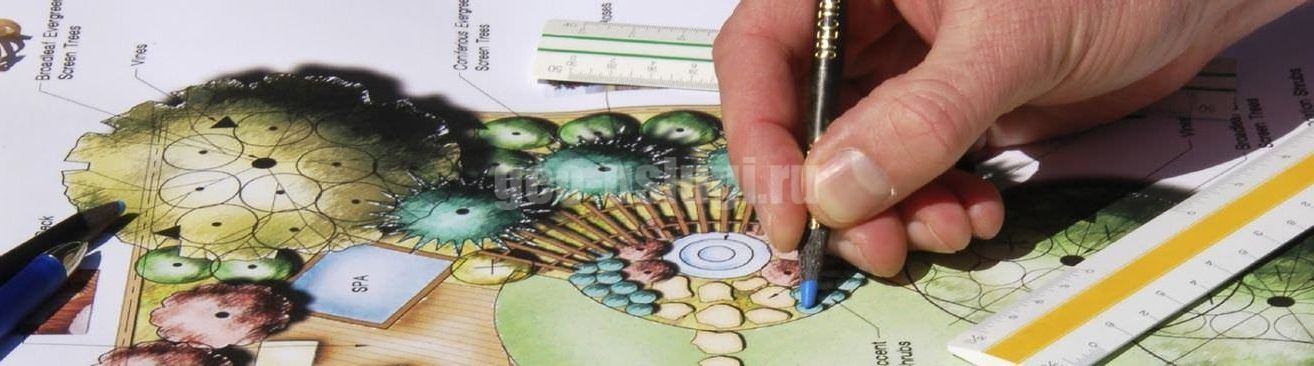 дендроплан