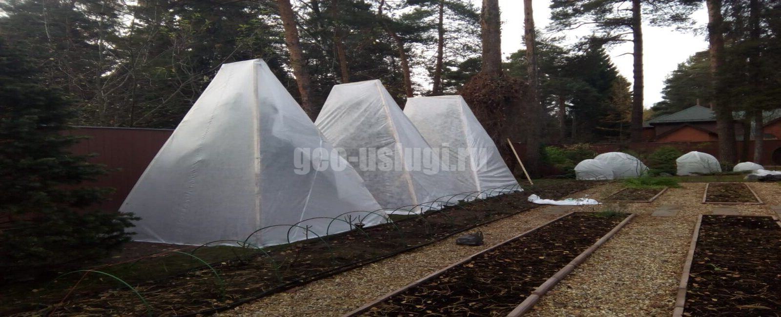 Подготовка сада к зиме